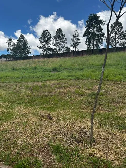 Foto 1 de Lote/Terreno à venda, 700m² em Alphaville Lagoa Dos Ingleses, Nova Lima