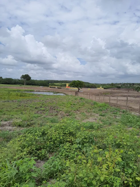 Foto 1 de Fazenda/Sítio com 3 Quartos à venda, 10000m² em Monte Alegre, Monte Alegre