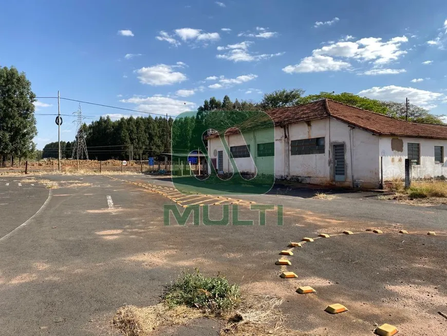 Foto 1 de Lote/Terreno com 1 Quarto para alugar, 2000m² em Zona Rural, Uberlândia