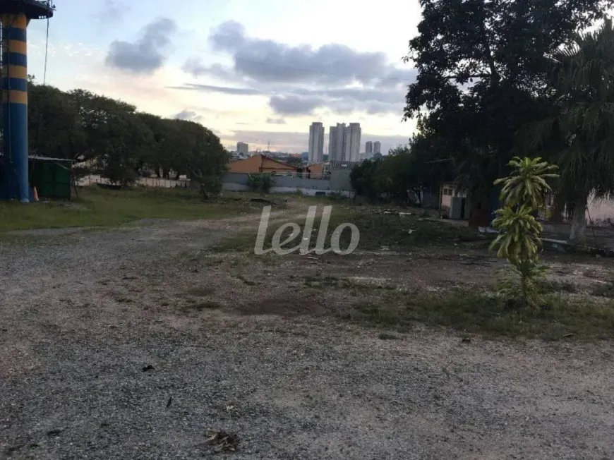 Foto 1 de Lote/Terreno para alugar, 5490m² em Vila Jordanopolis, São Bernardo do Campo