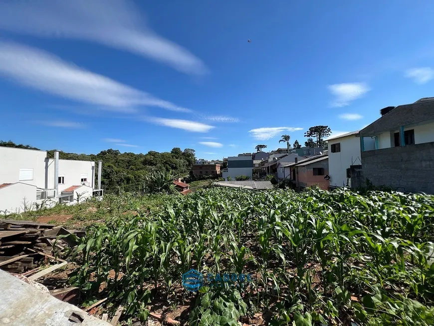 Foto 1 de Lote/Terreno à venda, 727m² em Cidade Nova, Caxias do Sul