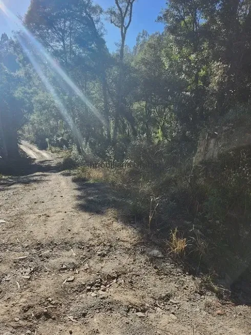 Foto 1 de Lote/Terreno à venda em Zona Rural, Urubici