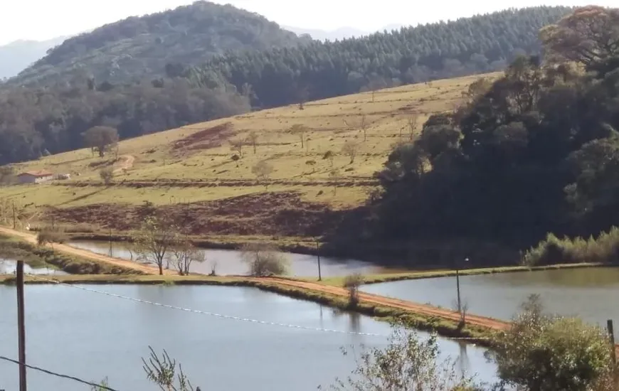 Foto 1 de Fazenda/Sítio com 2 Quartos à venda, 150m² em Zona Rural, Ouro Fino