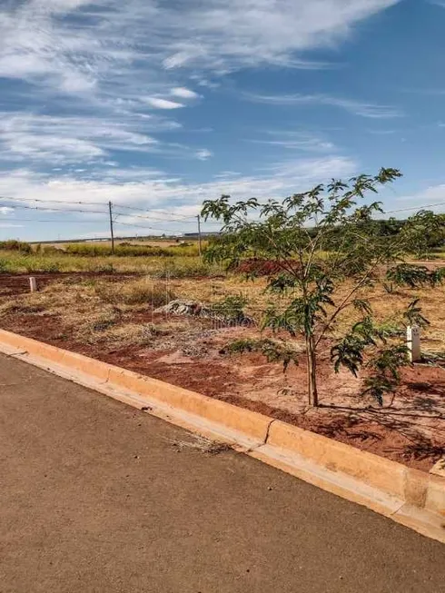 Foto 1 de Lote/Terreno à venda, 200m² em Residencial Alamedas II, Araraquara