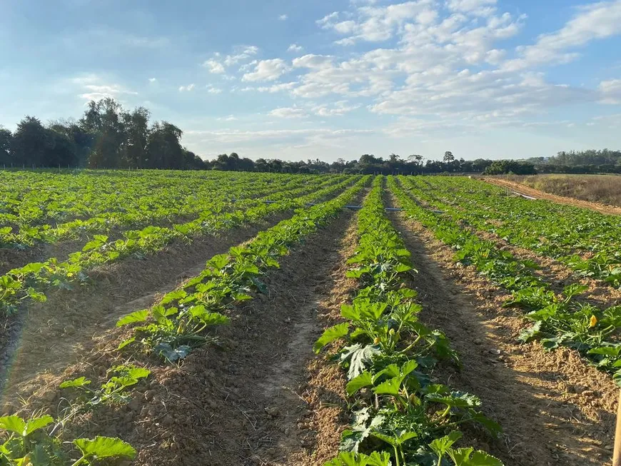 Foto 1 de Fazenda/Sítio à venda, 193600m² em Zona Rural, Elias Fausto