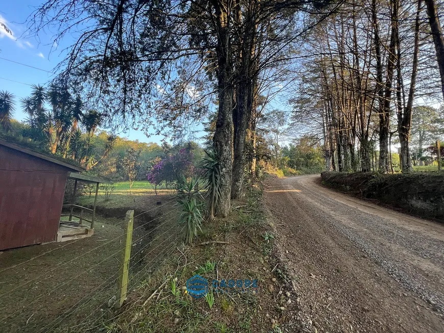 Foto 1 de Lote/Terreno à venda, 102000m² em Monte Bérico, Caxias do Sul