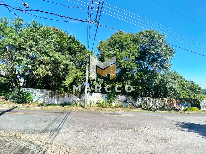 Foto 1 de Lote/Terreno à venda, 1200m² em Aristocrata, São José dos Pinhais