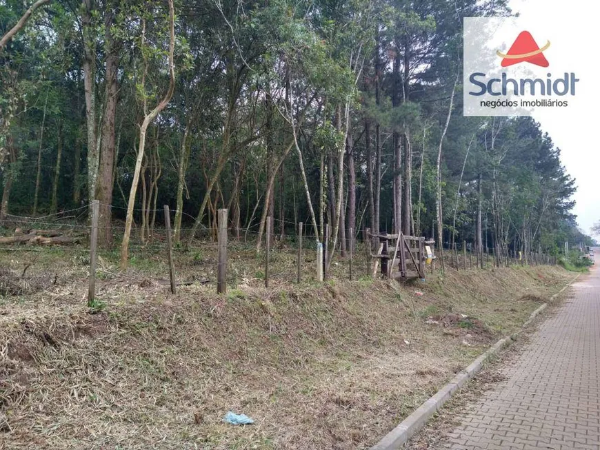 Foto 1 de Lote/Terreno à venda, 292m² em Campestre, São Leopoldo