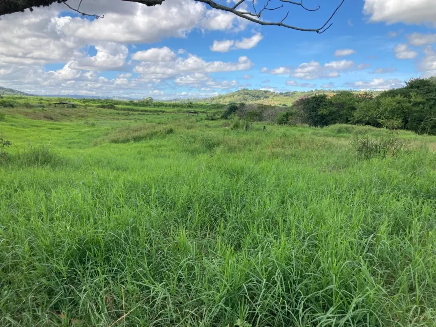 Foto 1 de Lote/Terreno à venda, 63000m² em Inacia de Carvalho, São José da Lapa