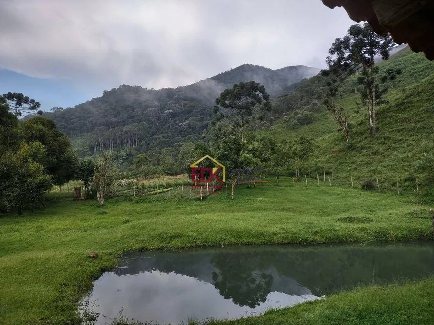 Foto 1 de Fazenda/Sítio com 4 Quartos à venda, 677600m² em , São José do Barreiro