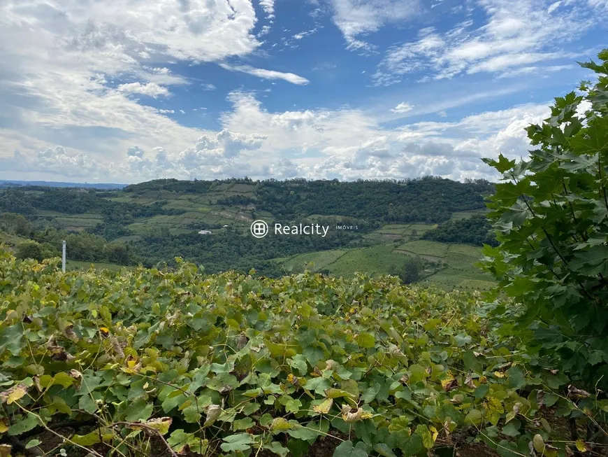 Foto 1 de Lote/Terreno à venda em Centro, Monte Belo do Sul