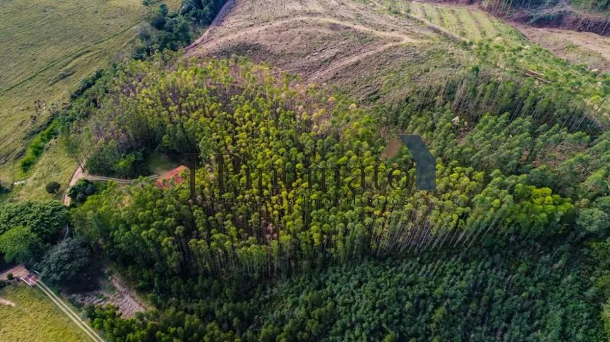 Foto 1 de Fazenda/Sítio com 2 Quartos à venda, 58000m² em Chacara Monterey, Jundiaí