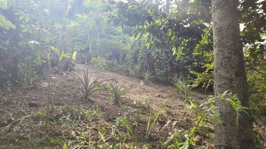 Foto 1 de Lote/Terreno à venda em Parque Nova Jandira, Jandira