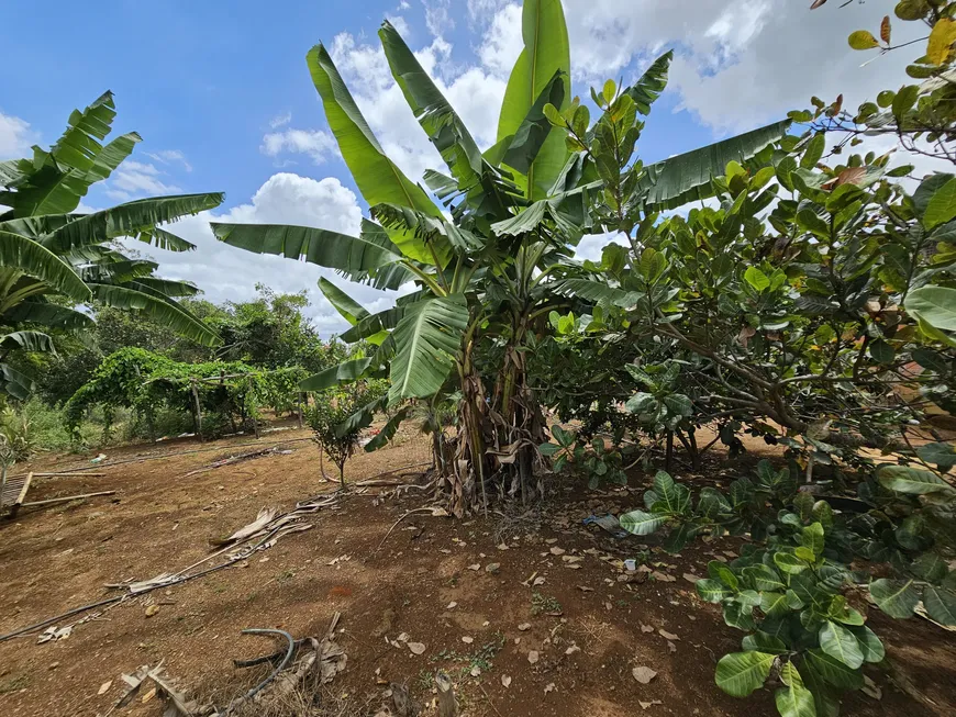 Foto 1 de Fazenda/Sítio com 2 Quartos à venda, 20000m² em Setor Residencial Oeste, Brasília