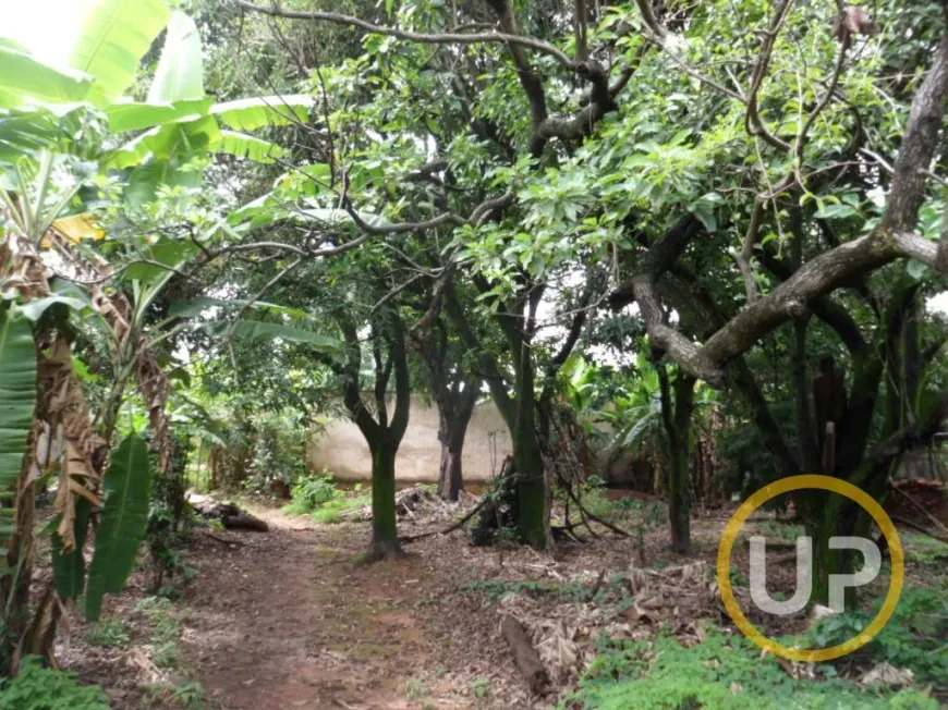 Foto 1 de Lote/Terreno à venda, 1880m² em São Gonçalo, Belo Horizonte