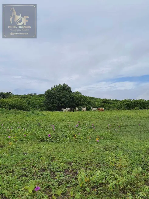 Foto 1 de Fazenda/Sítio com 3 Quartos à venda, 30000m² em Monte Alegre, Monte Alegre