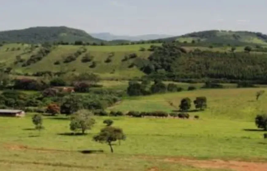 Foto 1 de Fazenda/Sítio com 6 Quartos à venda, 6080000m² em Jardim Planalto, Salto