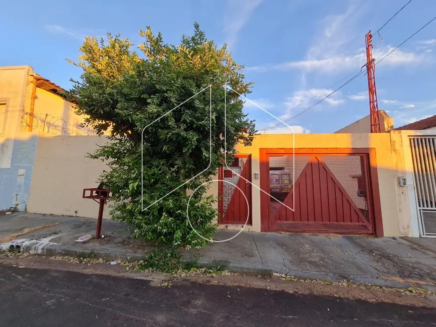 Foto 1 de Casa com 3 Quartos à venda, 205m² em Alto Cafezal, Marília