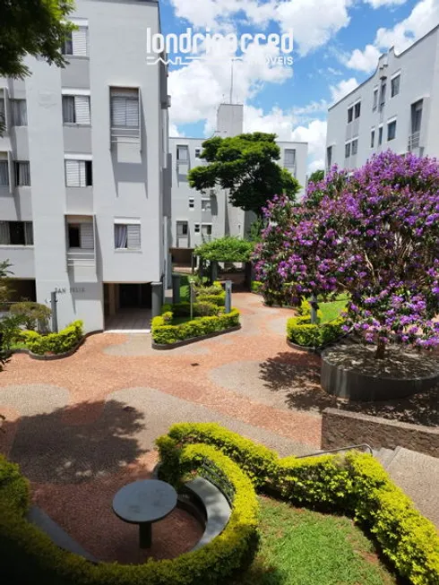 Foto 1 de Apartamento com 3 Quartos à venda, 70m² em Antares, Londrina