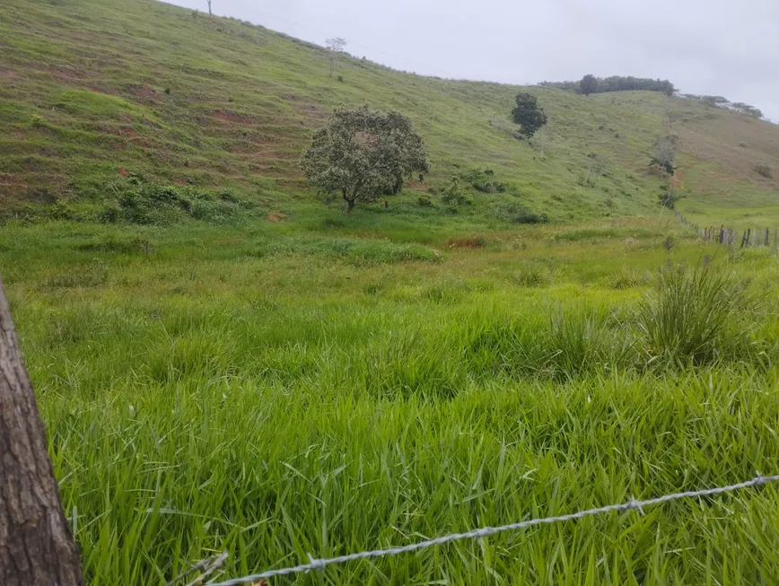 Foto 1 de Fazenda/Sítio à venda, 290400m² em Niteroi, Atilio Vivacqua