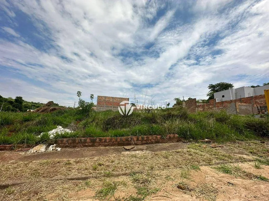 Foto 1 de Lote/Terreno à venda, 290m² em Jardim Nenê Gomes, Uberaba