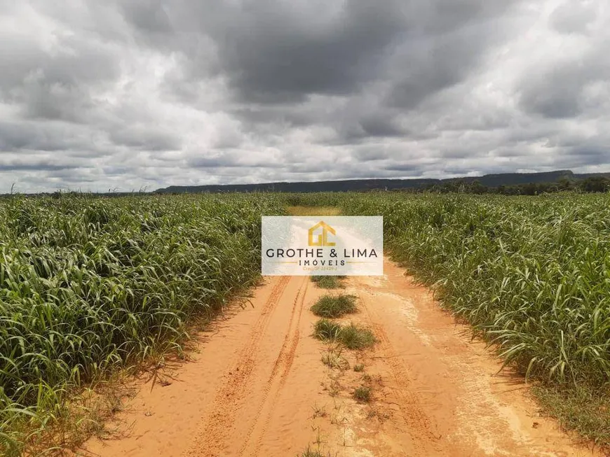 Foto 1 de Fazenda/Sítio com 17 Quartos à venda, 400m² em Sao Joao, Araguaína