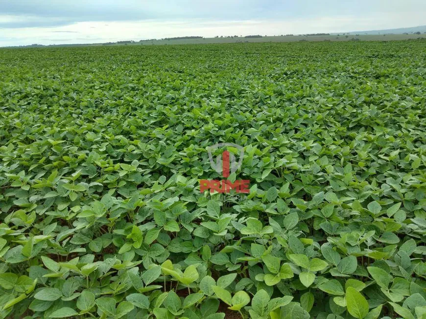 Foto 1 de Fazenda/Sítio à venda, 9994600m² em , Sete Quedas