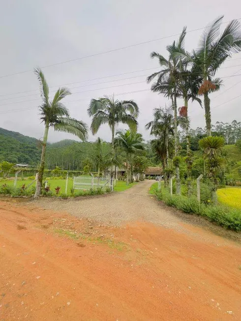 Foto 1 de Fazenda/Sítio com 3 Quartos à venda, 56734m² em , Ascurra