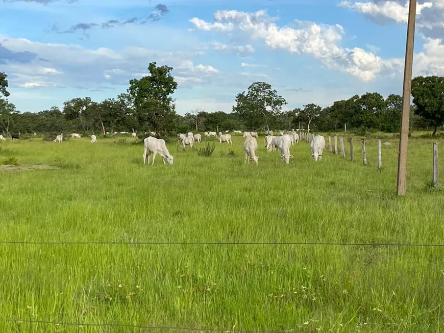 Foto 1 de Fazenda/Sítio com 2 Quartos à venda, 80m² em Zona Rural, Poconé