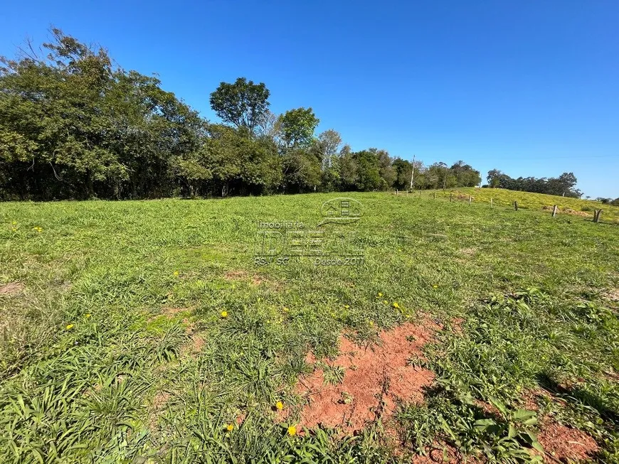 Foto 1 de Fazenda/Sítio com 1 Quarto à venda, 2500m² em Sanga Funda, Nova Santa Rita