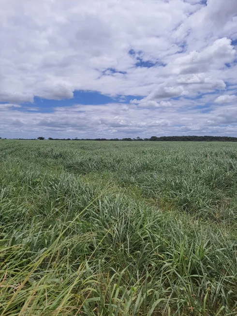 Foto 1 de Fazenda/Sítio com 4 Quartos à venda, 570000m² em Monte Alegre, Monte Alegre