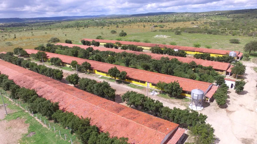 Foto 1 de Fazenda/Sítio com 3 Quartos à venda, 8m² em , Pocinhos