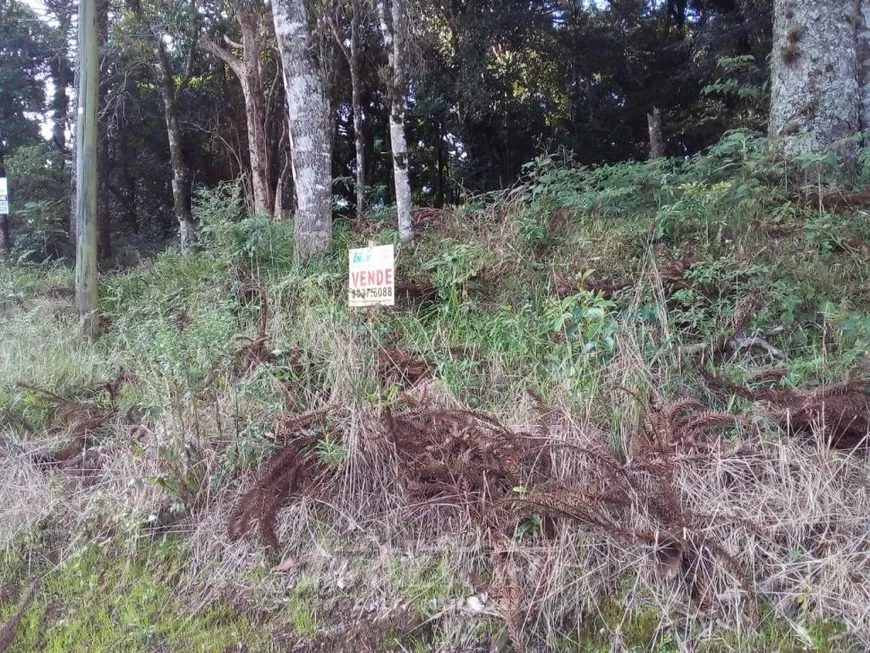 Foto 1 de Lote/Terreno à venda em Bela Vista, Caxias do Sul