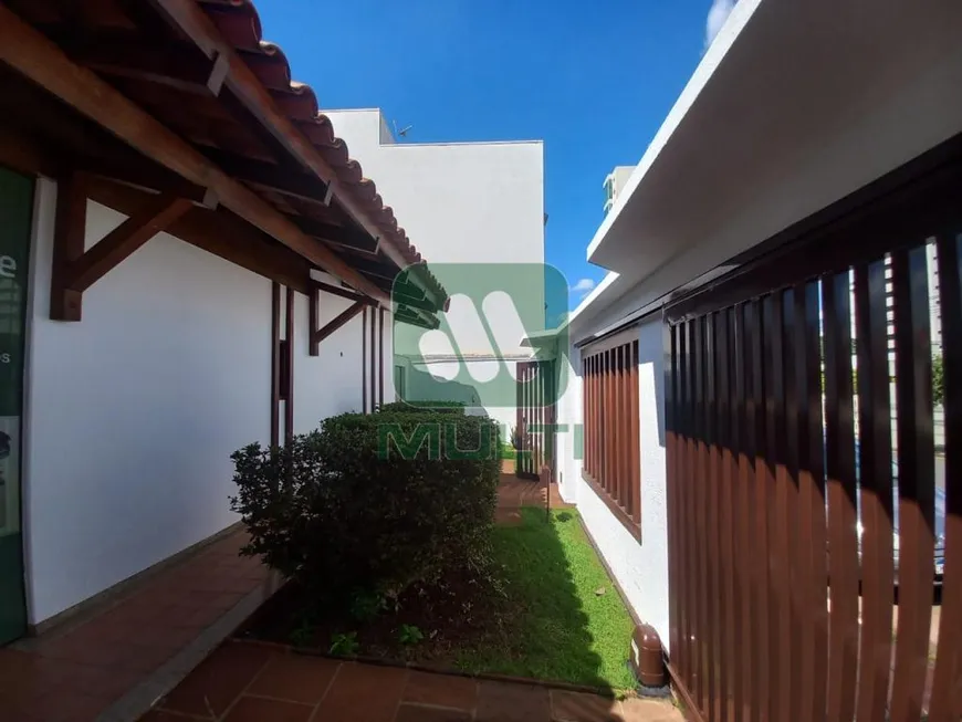 Foto 1 de Casa com 3 Quartos para alugar, 200m² em Martins, Uberlândia