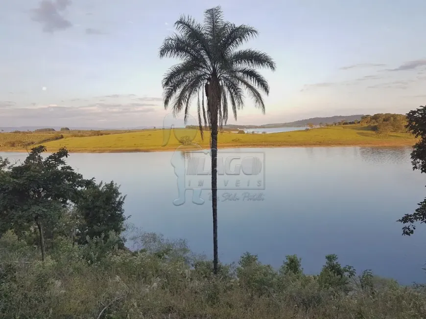 Foto 1 de Lote/Terreno à venda, 4000m² em , Delfinópolis