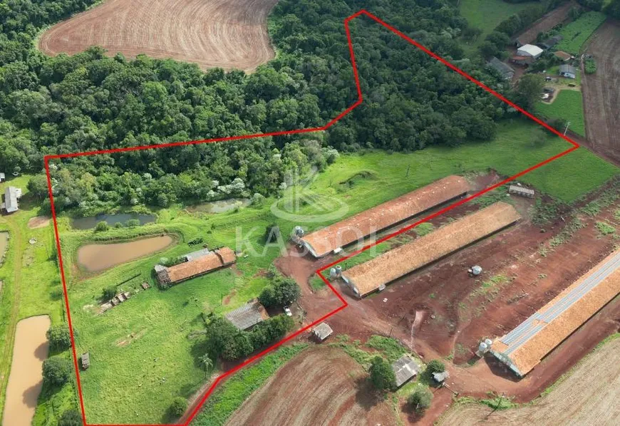 Foto 1 de Fazenda/Sítio à venda, 42000m² em Zona Rural, Cascavel