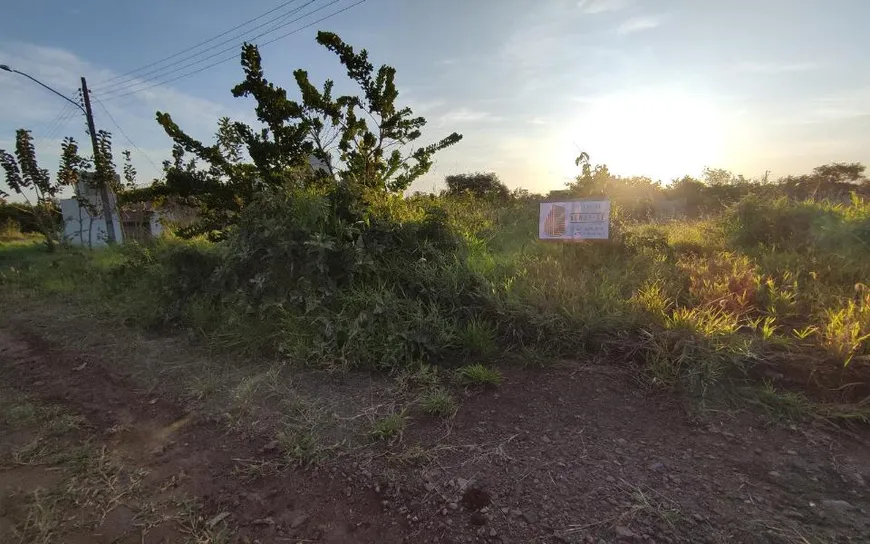 Foto 1 de Lote/Terreno à venda, 250m² em Vila Nasser, Campo Grande