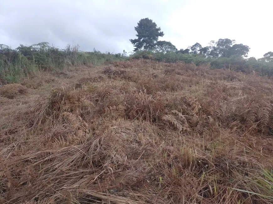 Foto 1 de Lote/Terreno à venda, 21000m² em Centro, Juquitiba