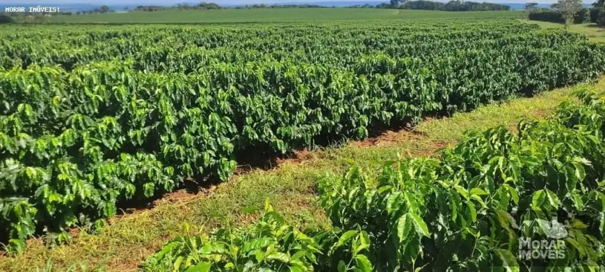 Foto 1 de Fazenda/Sítio à venda, 51m² em Centro, Altinópolis