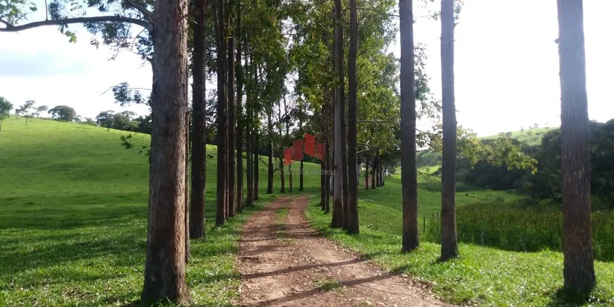 Foto 1 de Fazenda/Sítio com 5 Quartos à venda, 430000m² em Zona Rural, Capim Branco