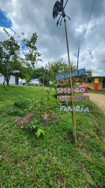 Foto 1 de Fazenda/Sítio com 3 Quartos à venda, 130m² em , Chã de Alegria