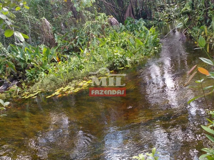 Foto 1 de Fazenda/Sítio à venda, 1050m² em Zona Rural, Ponte Alta do Tocantins