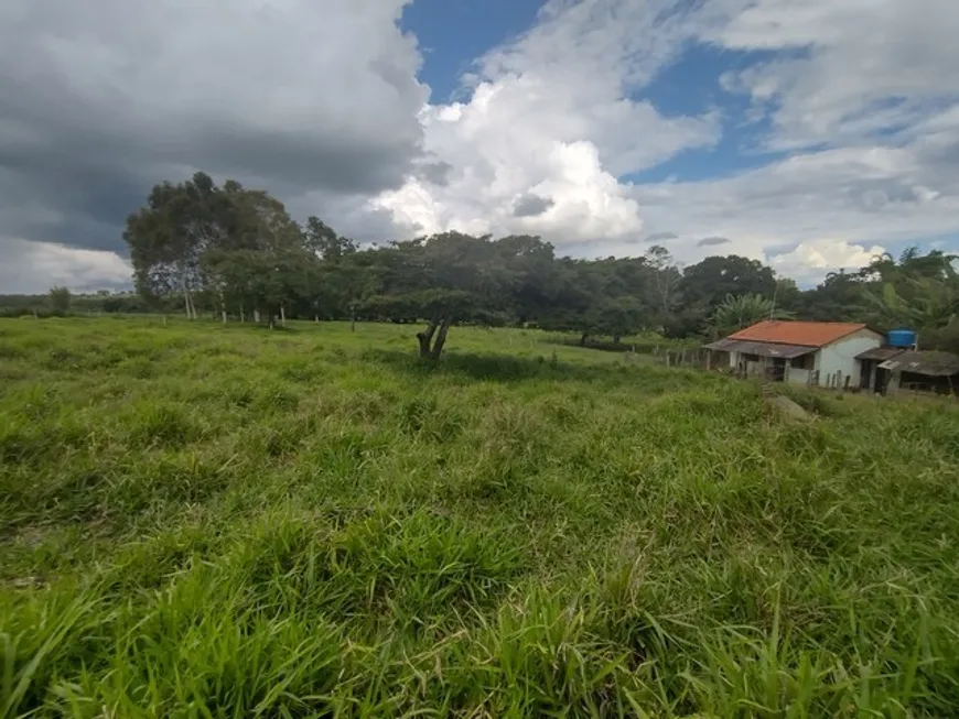 Foto 1 de Fazenda/Sítio com 3 Quartos à venda, 120000m² em Jardim Roriz, Brasília