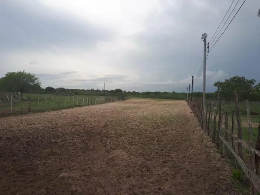 Foto 1 de Fazenda/Sítio com 3 Quartos à venda, 27000m² em Trairas, Macaíba