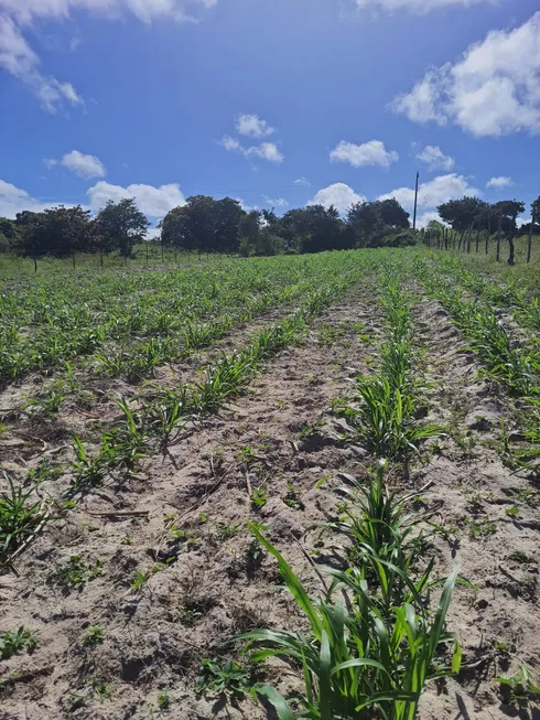 Foto 1 de Fazenda/Sítio com 3 Quartos à venda, 27800m² em Trairas, Macaíba