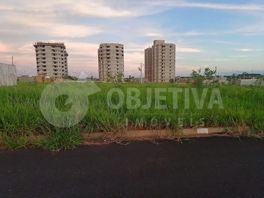Foto 1 de Lote/Terreno à venda, 250m² em Loteamento Luizote IV, Uberlândia