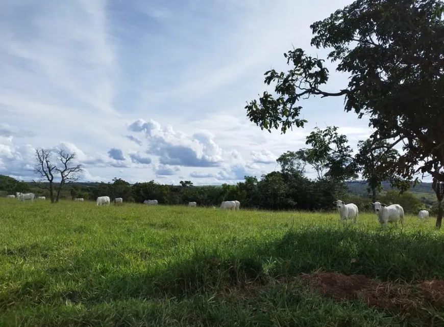 Foto 1 de Fazenda/Sítio com 3 Quartos à venda, 358160m² em Area Rural de Caldas Novas, Caldas Novas