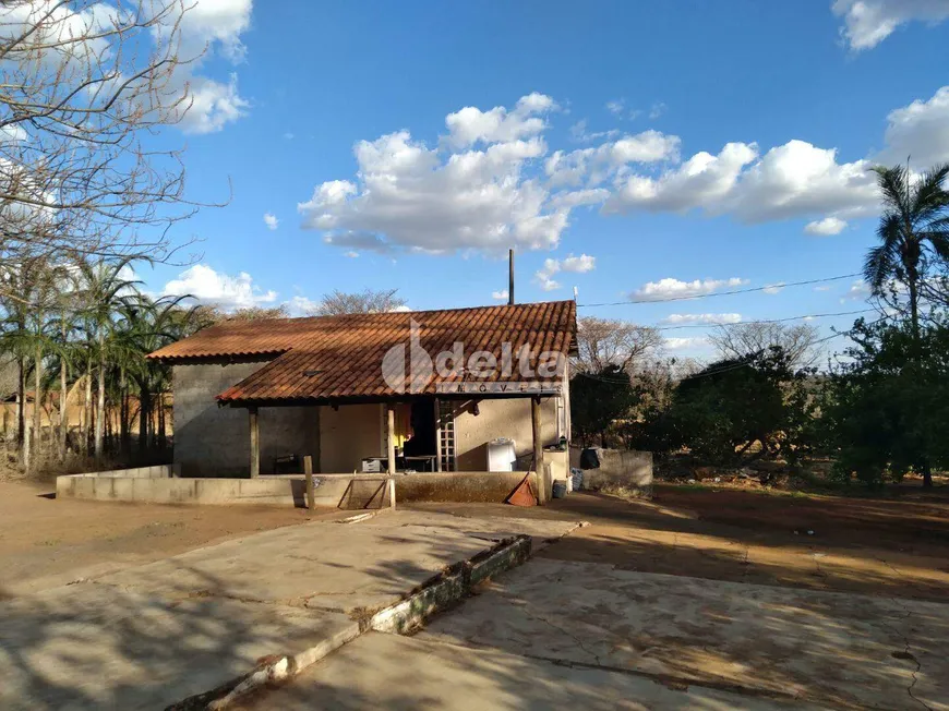 Foto 1 de Fazenda/Sítio com 1 Quarto para alugar, 80m² em Chácaras Eldorado, Uberlândia