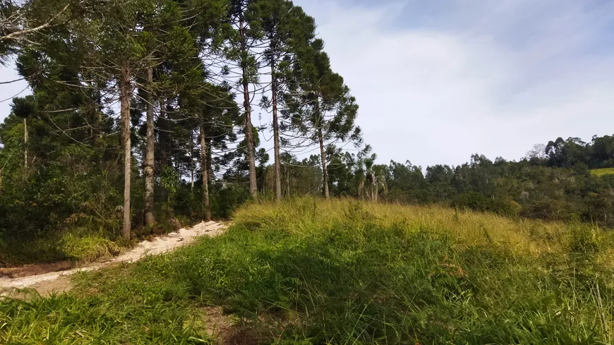 Foto 1 de Fazenda/Sítio à venda, 20050m² em Bateias, Campo Largo