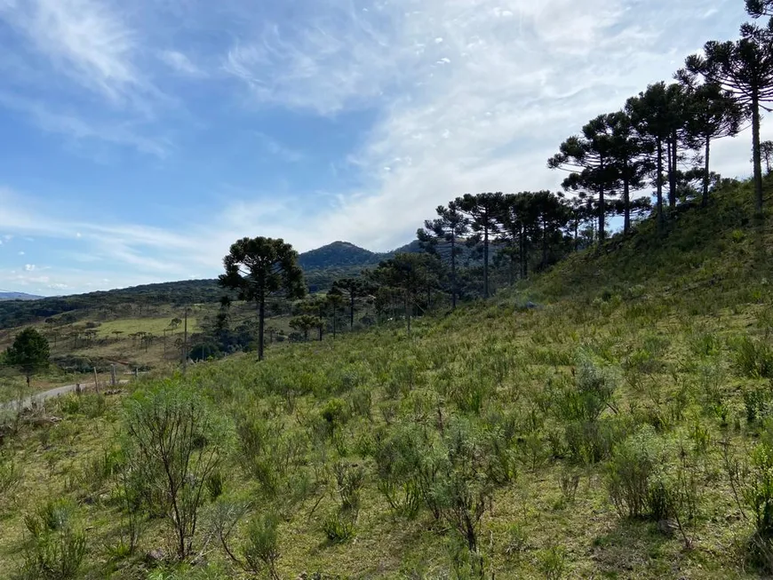 Foto 1 de Fazenda/Sítio à venda, 78000m² em Zona Rural, Urubici